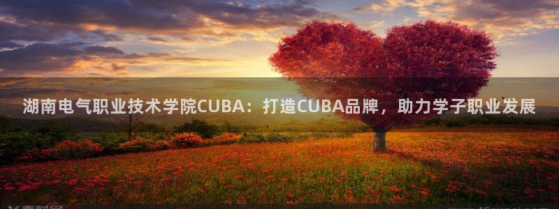 凯发官网地址：湖南电气职业技术学院CUBA：打造C