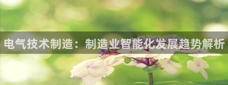 凯发平台开户