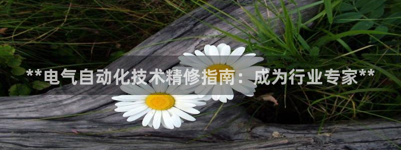 凯发官方首页：**电气自动化技术精修指南：成为行业