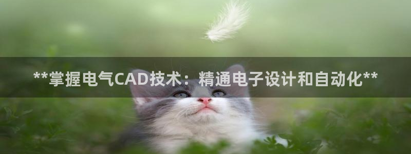 凯发k8国际下载：**掌握电气CAD技术：精通电子